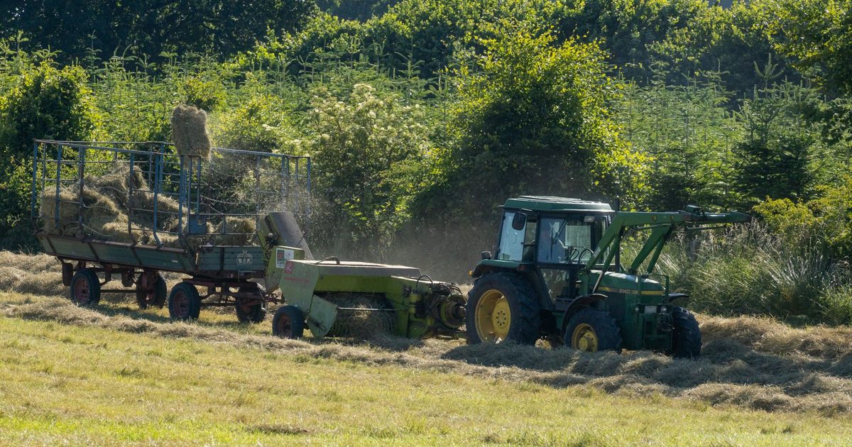 En traktor med balpress och vagn bärgar hö på en grön vall