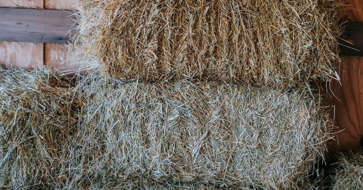 Närbild på staplade småbalar av hö i en lada