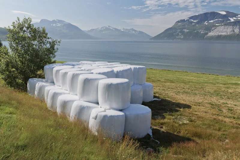 Hösilage, andraskörd 2026