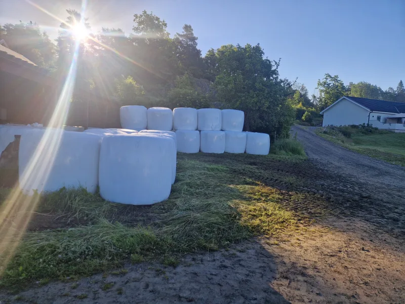 Lågsocker Hösilage/Ensilage