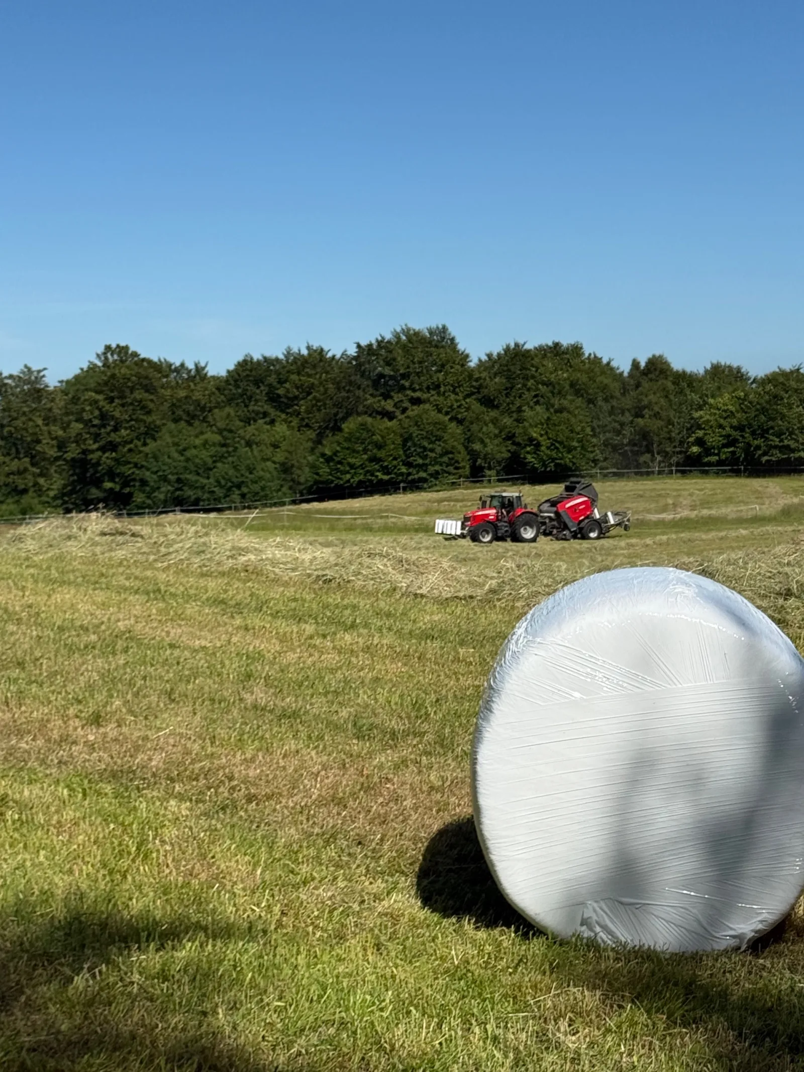 Hösilage första skörd med analys