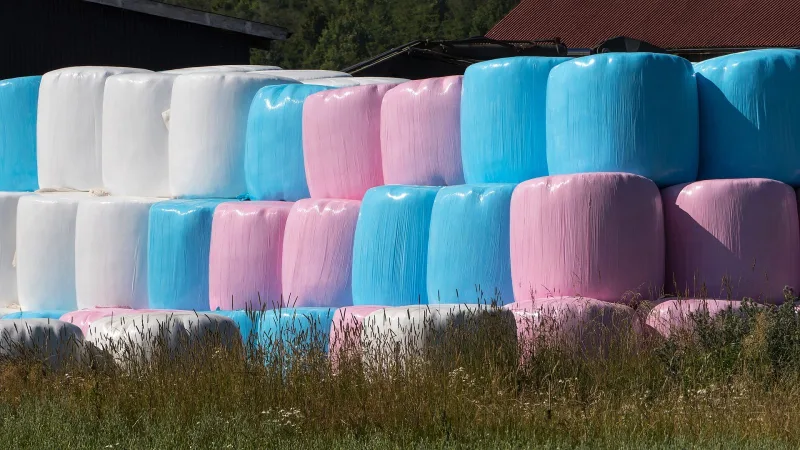 Ensilage, förstaskörd 2025