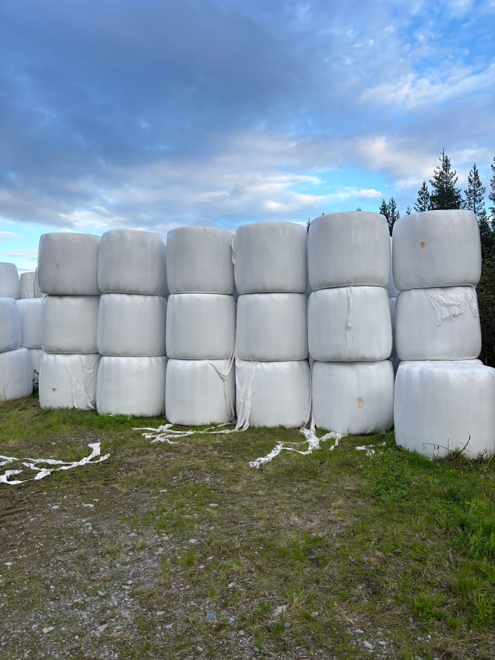 Hösilage till salu.