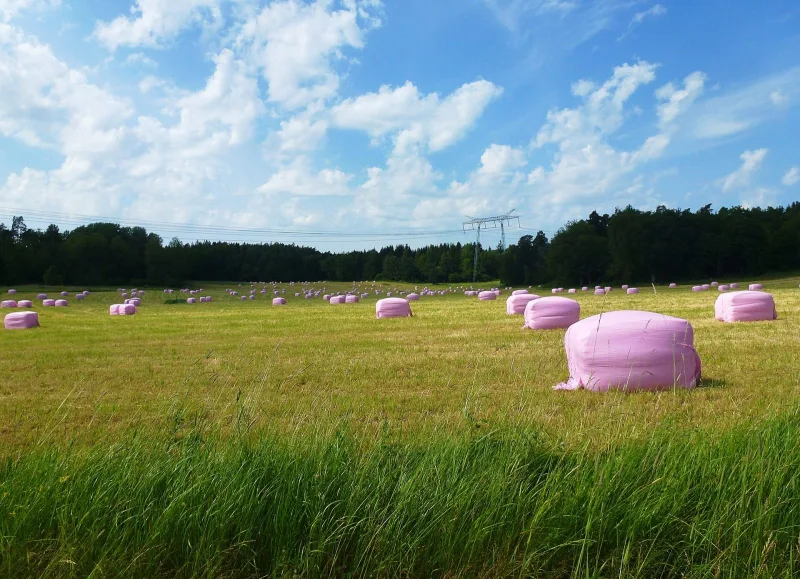 Hösilage, förstaskörd 2026