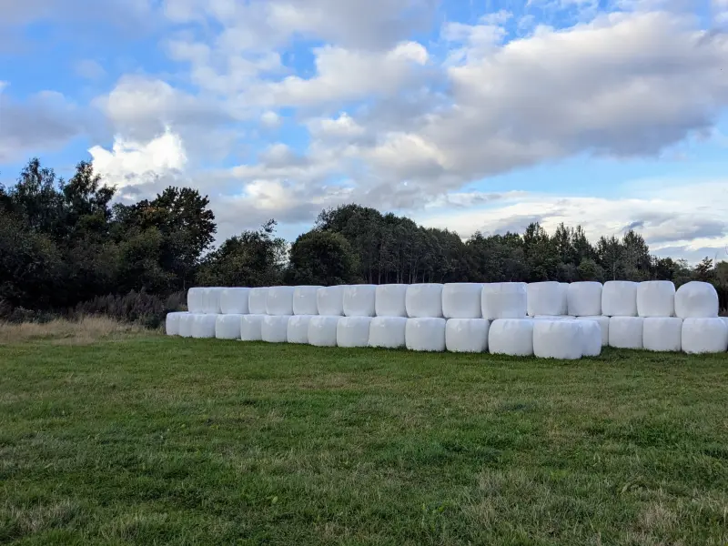 Hösilage förstaskörd