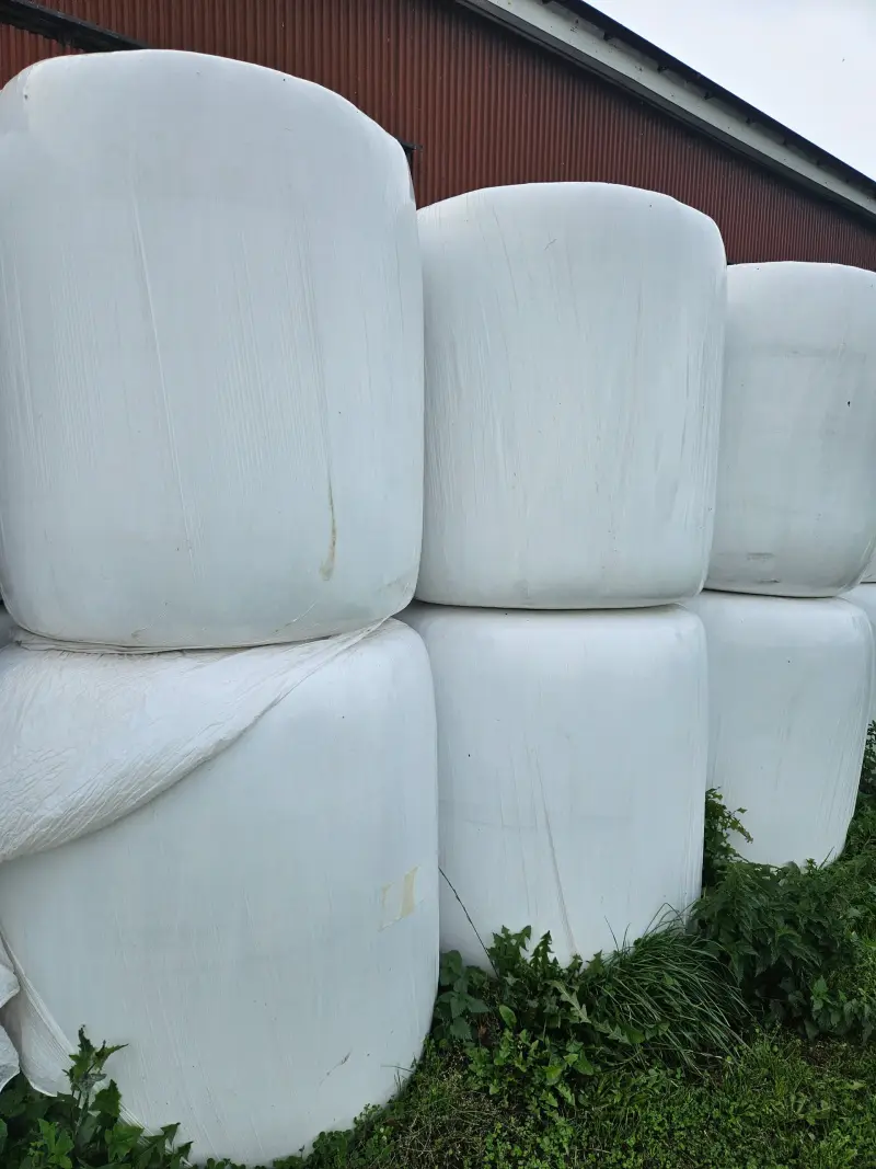 Hösilage, förstaskörd 2026