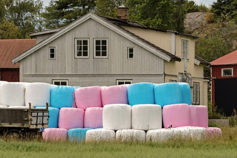 Ensilage, förstaskörd 2026