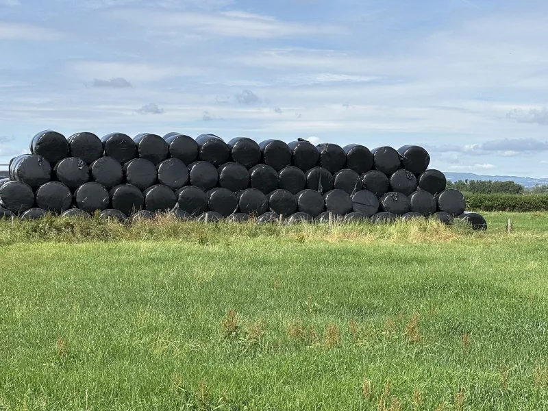 Hösilage, förstaskörd 2025