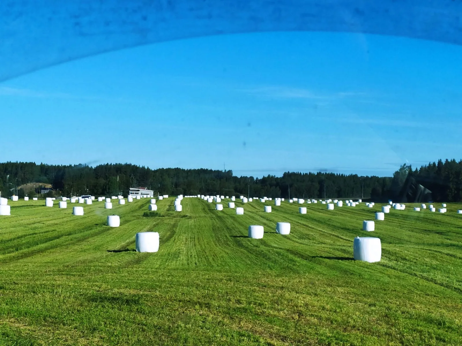 Ensilage, förstaskörd 2026
