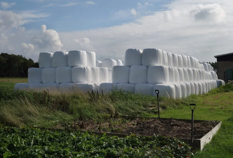 Hösilage, förstaskörd 2026