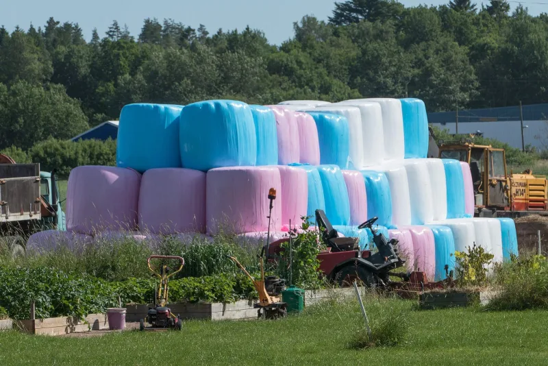 Ensilage, återväxt 2026