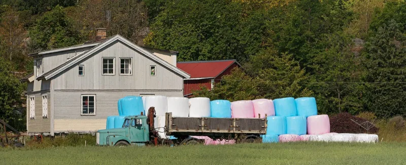 Hösilage, förstaskörd 2026