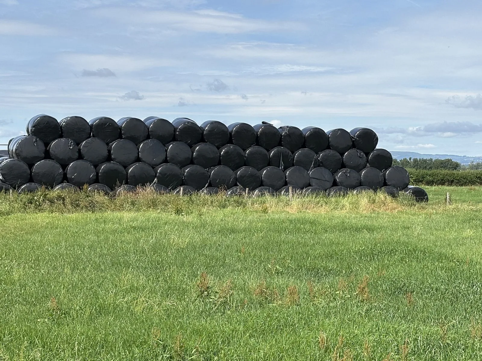 Rad med svartplastade rundbalar längs en vall