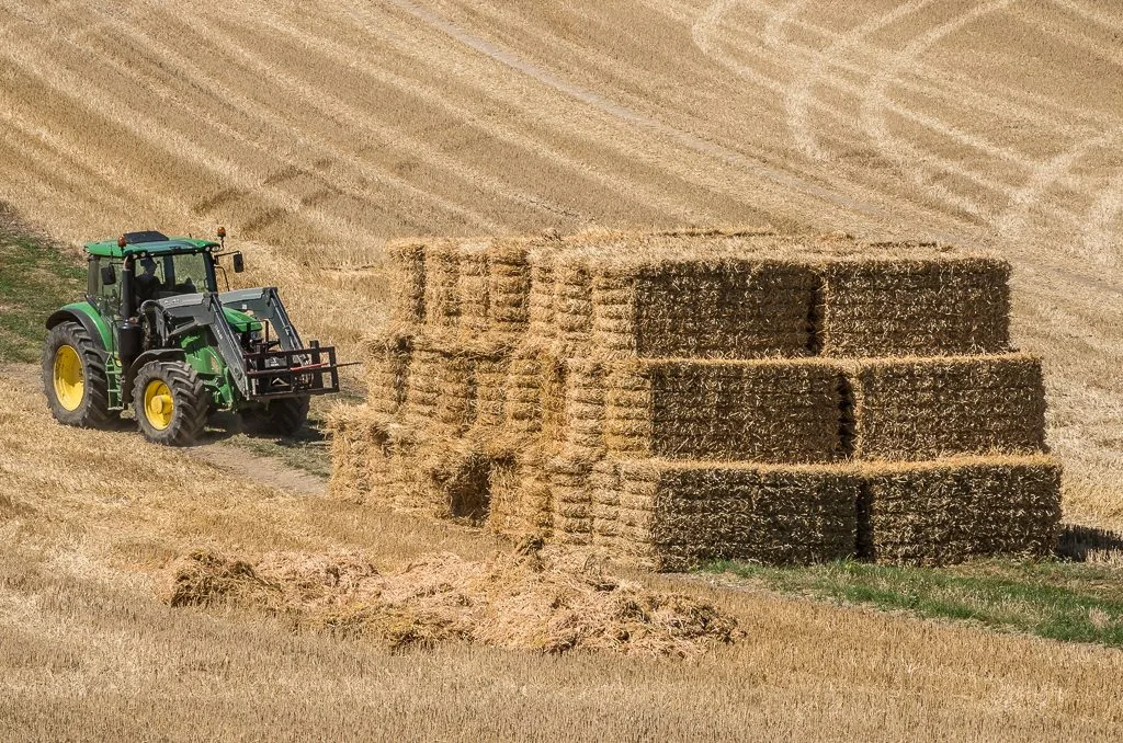 Traktor vid stapel med stora fyrkantsbalar hö