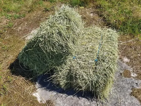 Hö i småbal