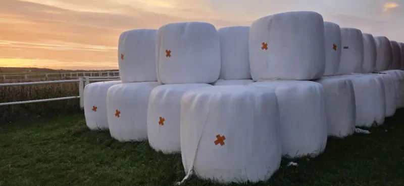 Hösilage, förstaskörd 2026
