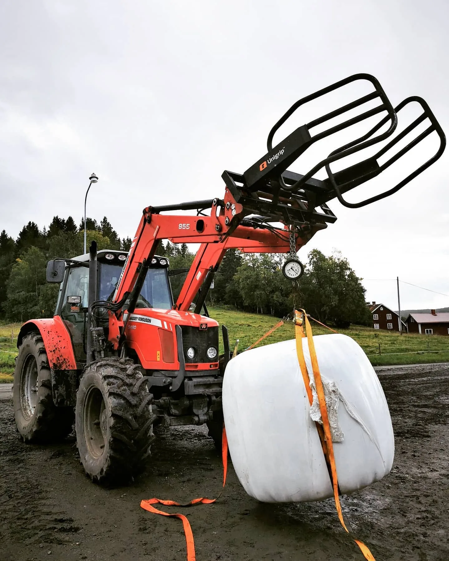 Ensilage, förstaskörd 2026
