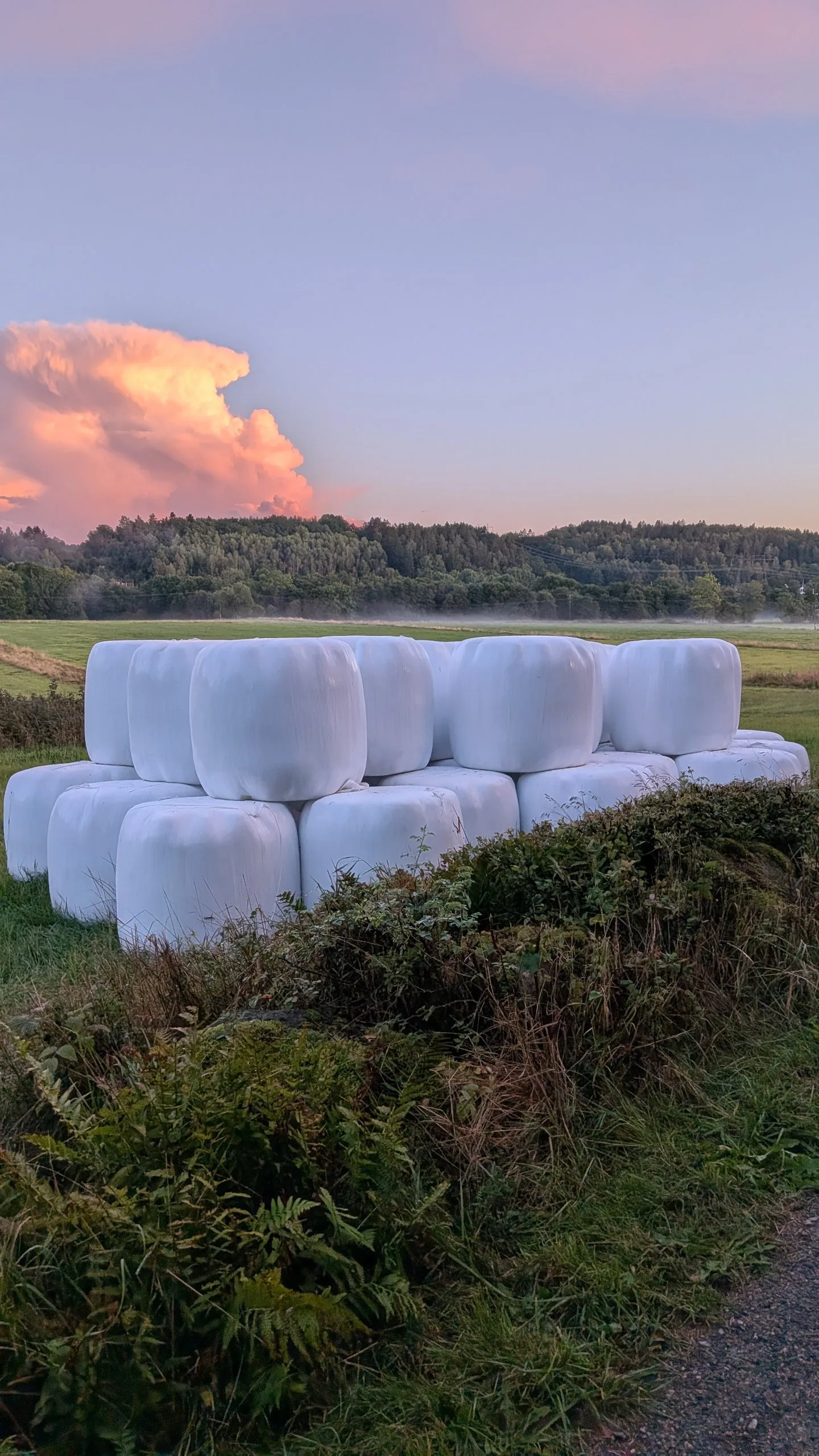 Hösilage torrare 2026