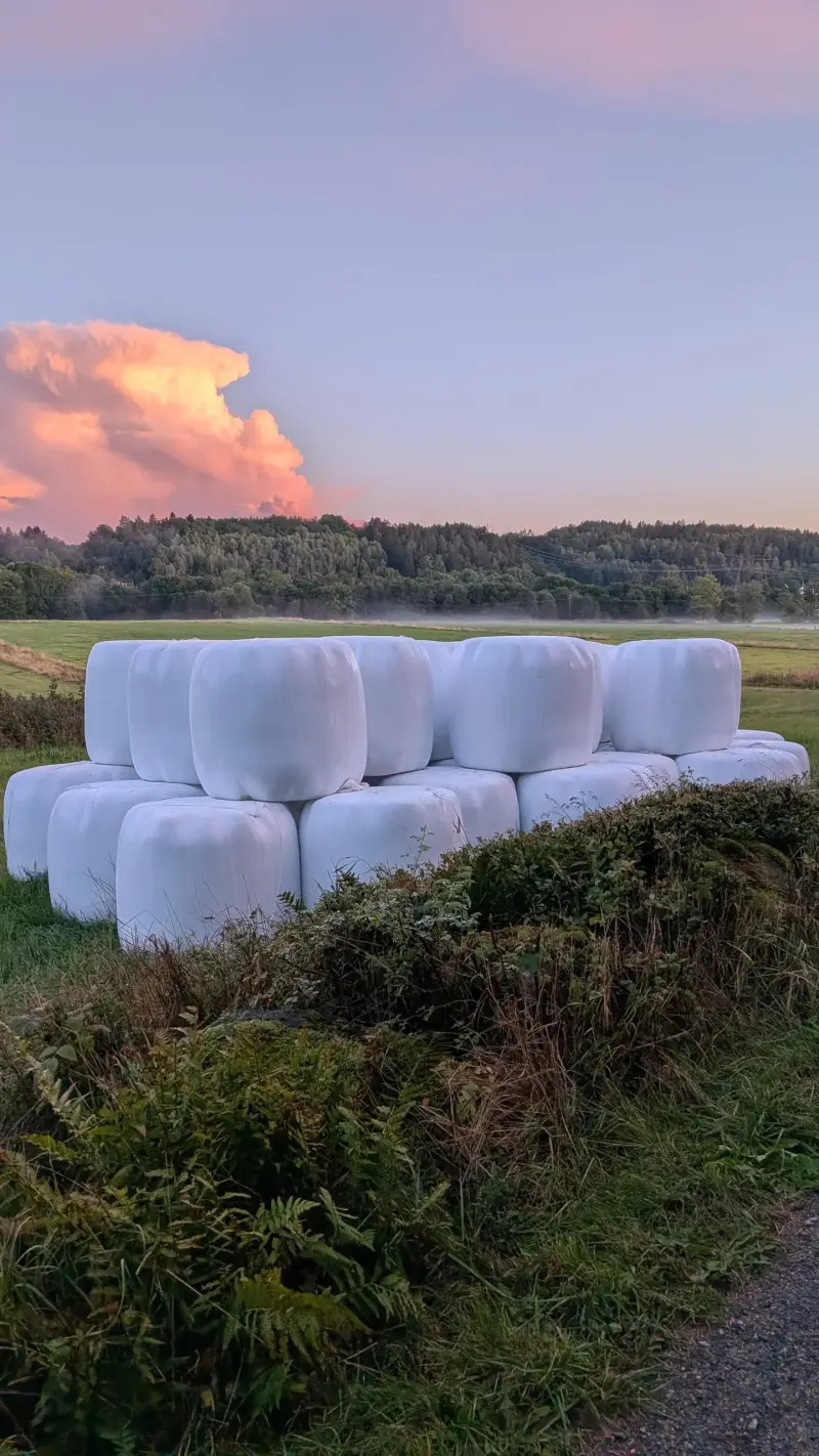 Hösilage torrare 2026