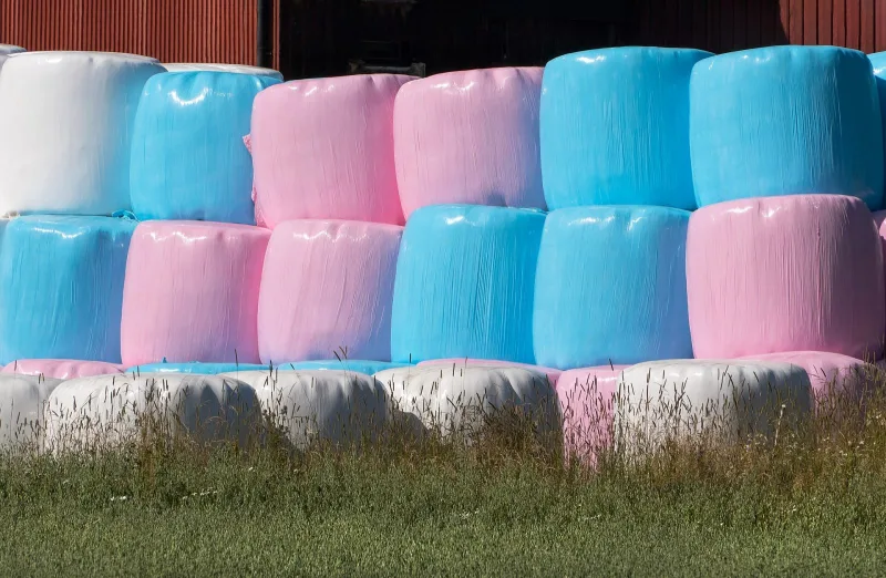 Ensilage, tredjeskörd 2025