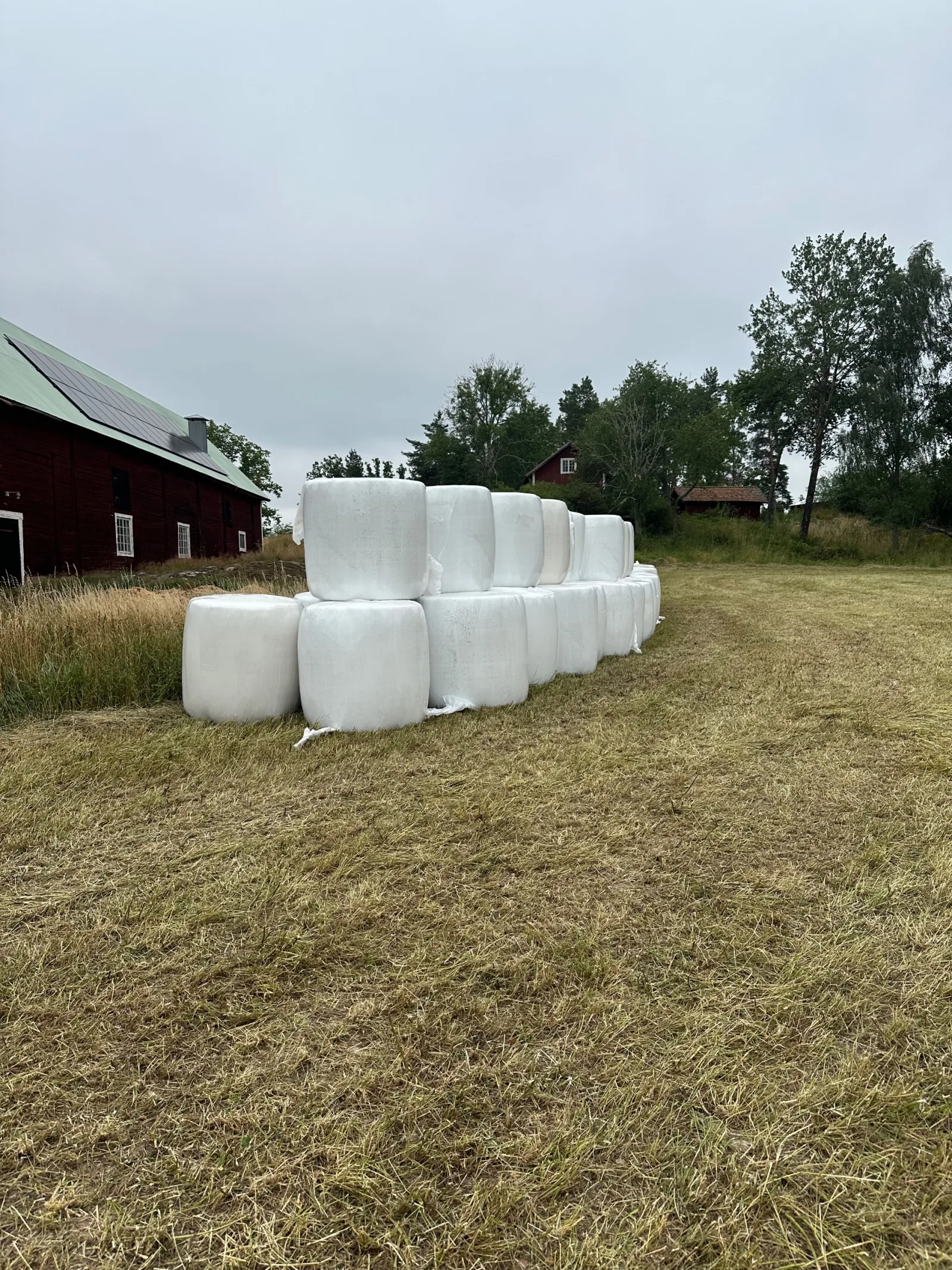 Hösilage -25